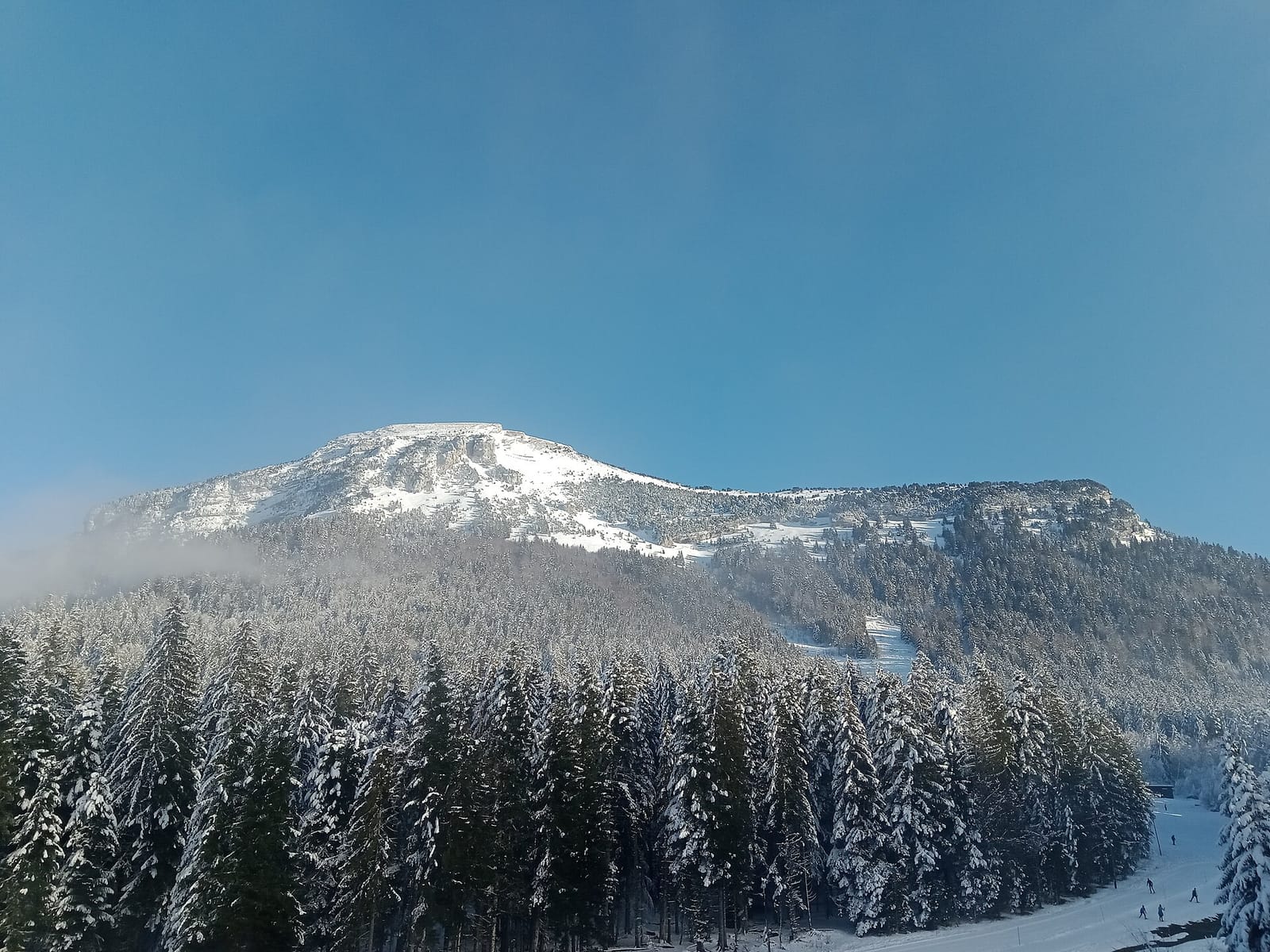 Chalet Jaune Chartreuse