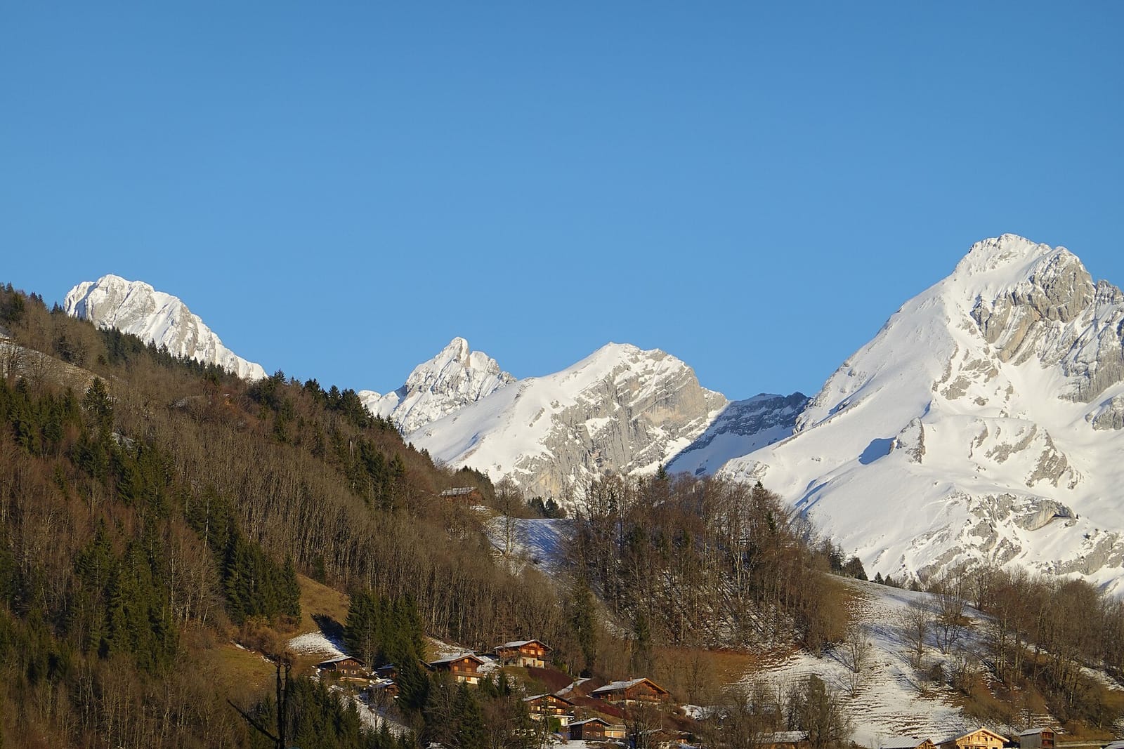 Aravis Café I Brunch I Apéritif photo 3