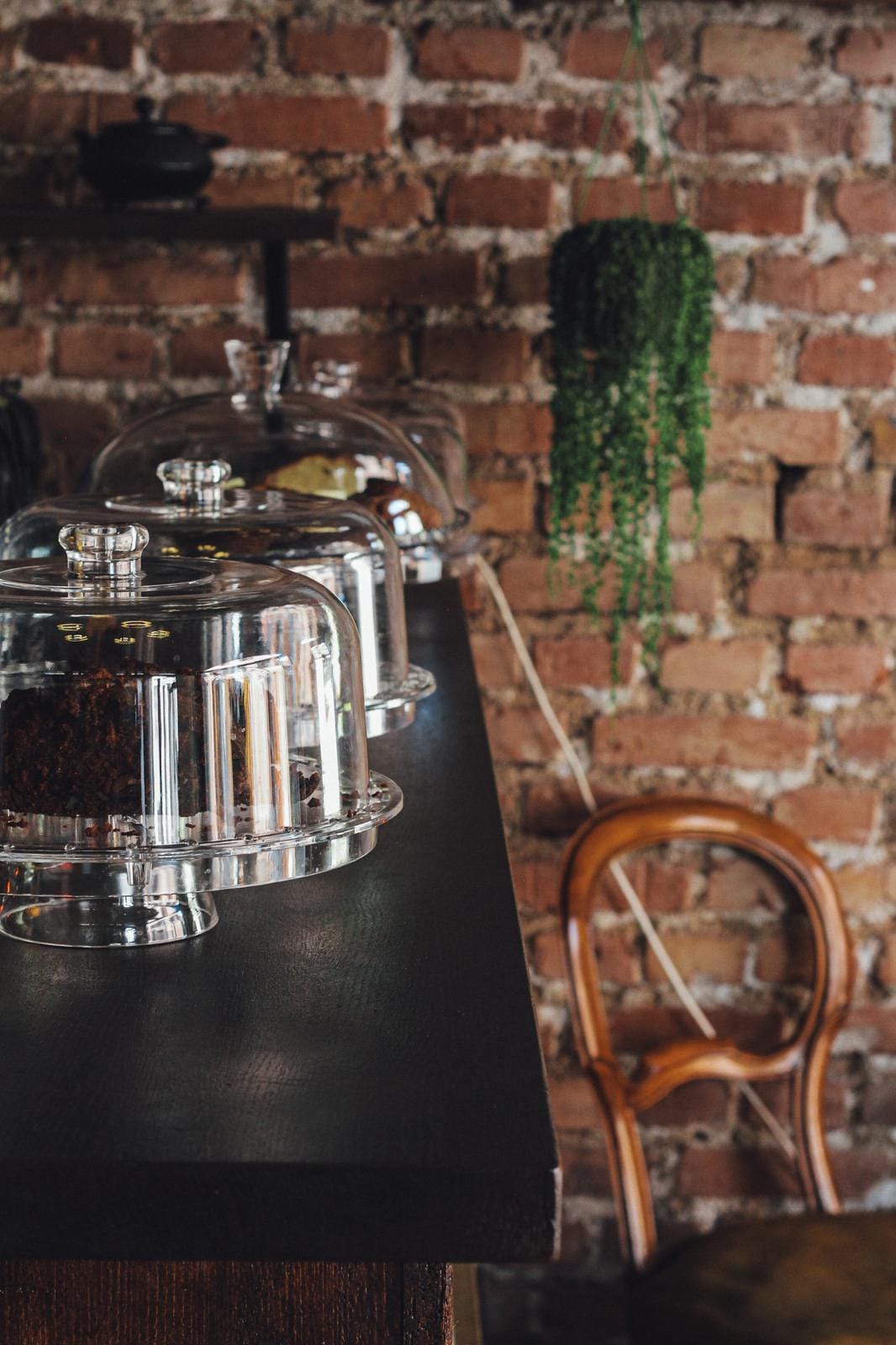 Quill & Cup photo 6