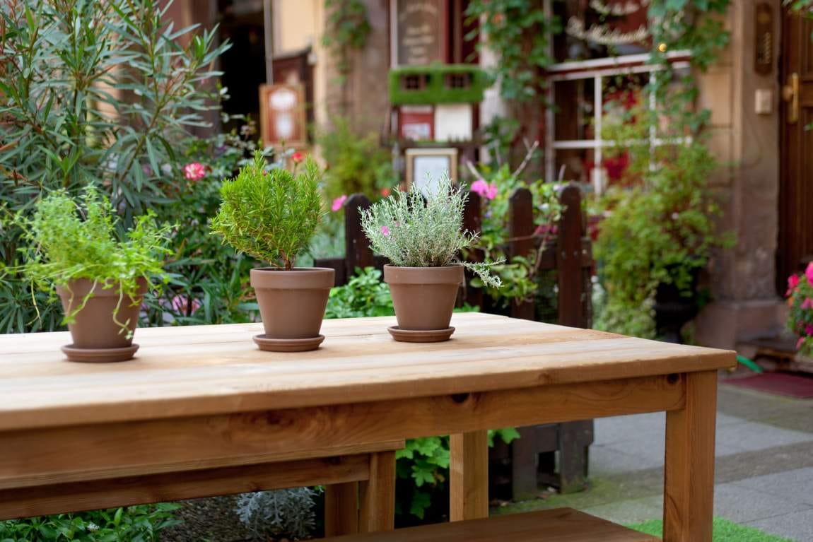Café Suisse photo 6