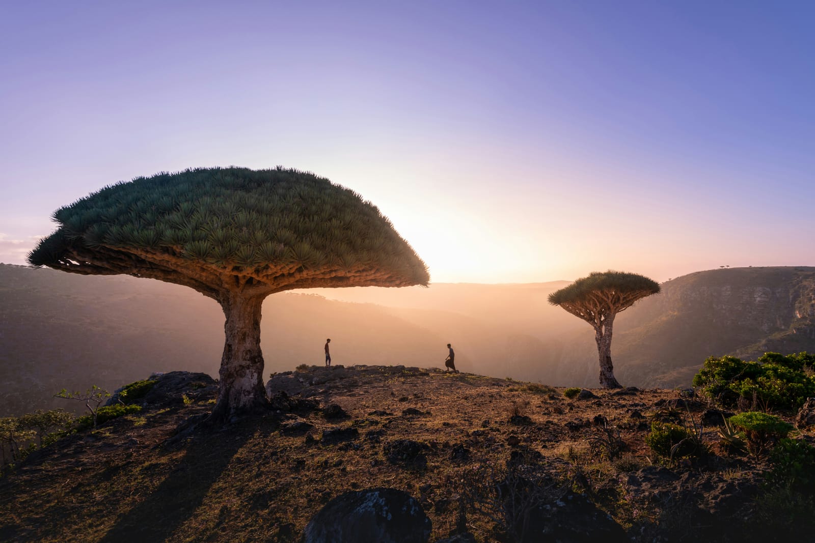 Socotra Coffee House photo 5
