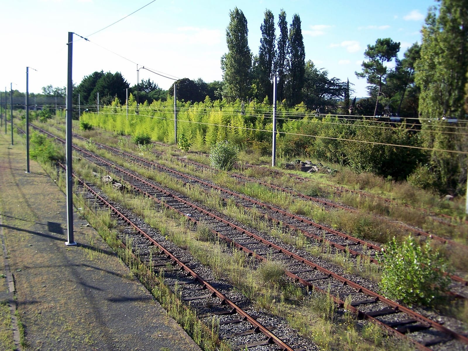 Café de la gare photo 3