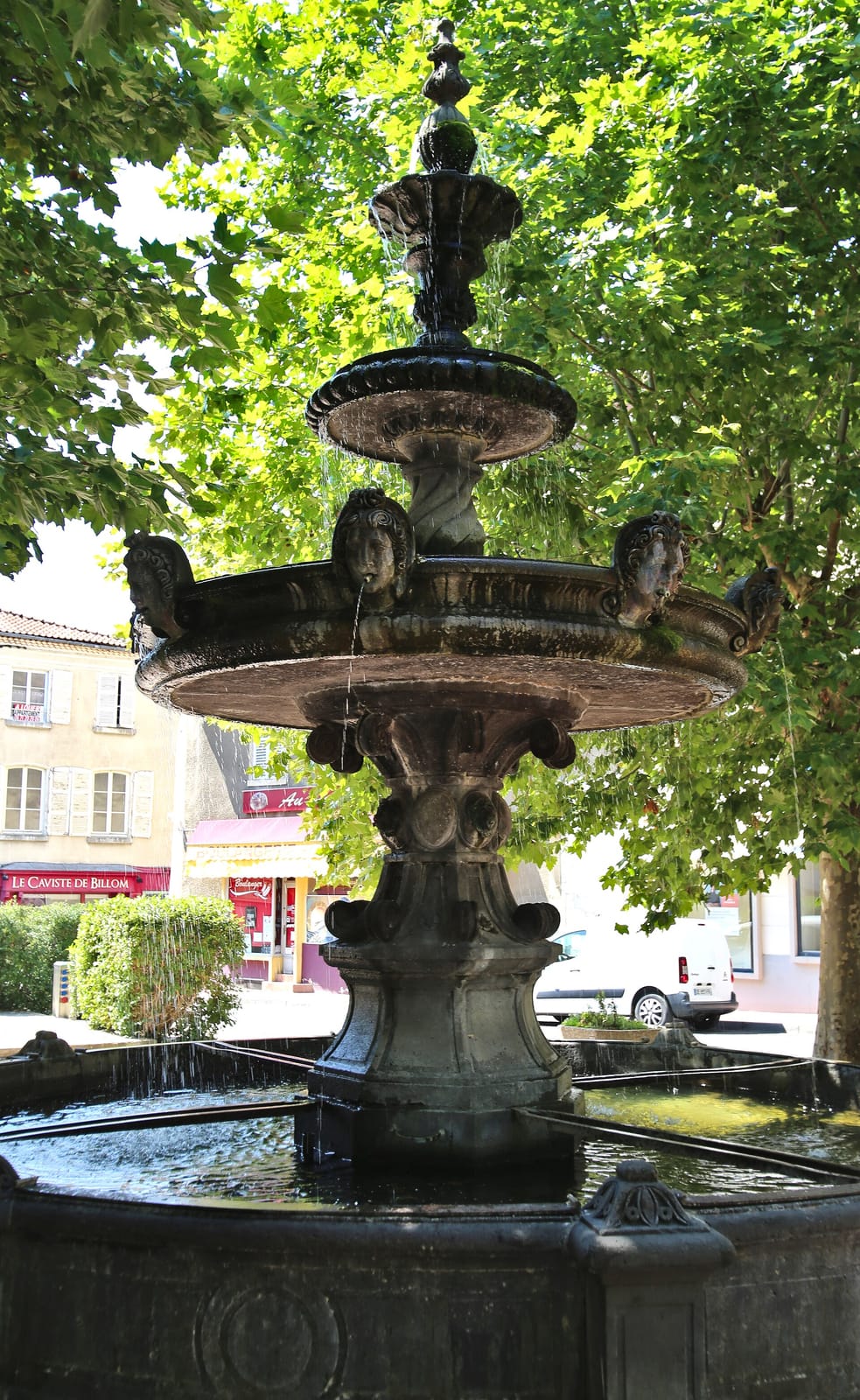 BrocCafé photo 4