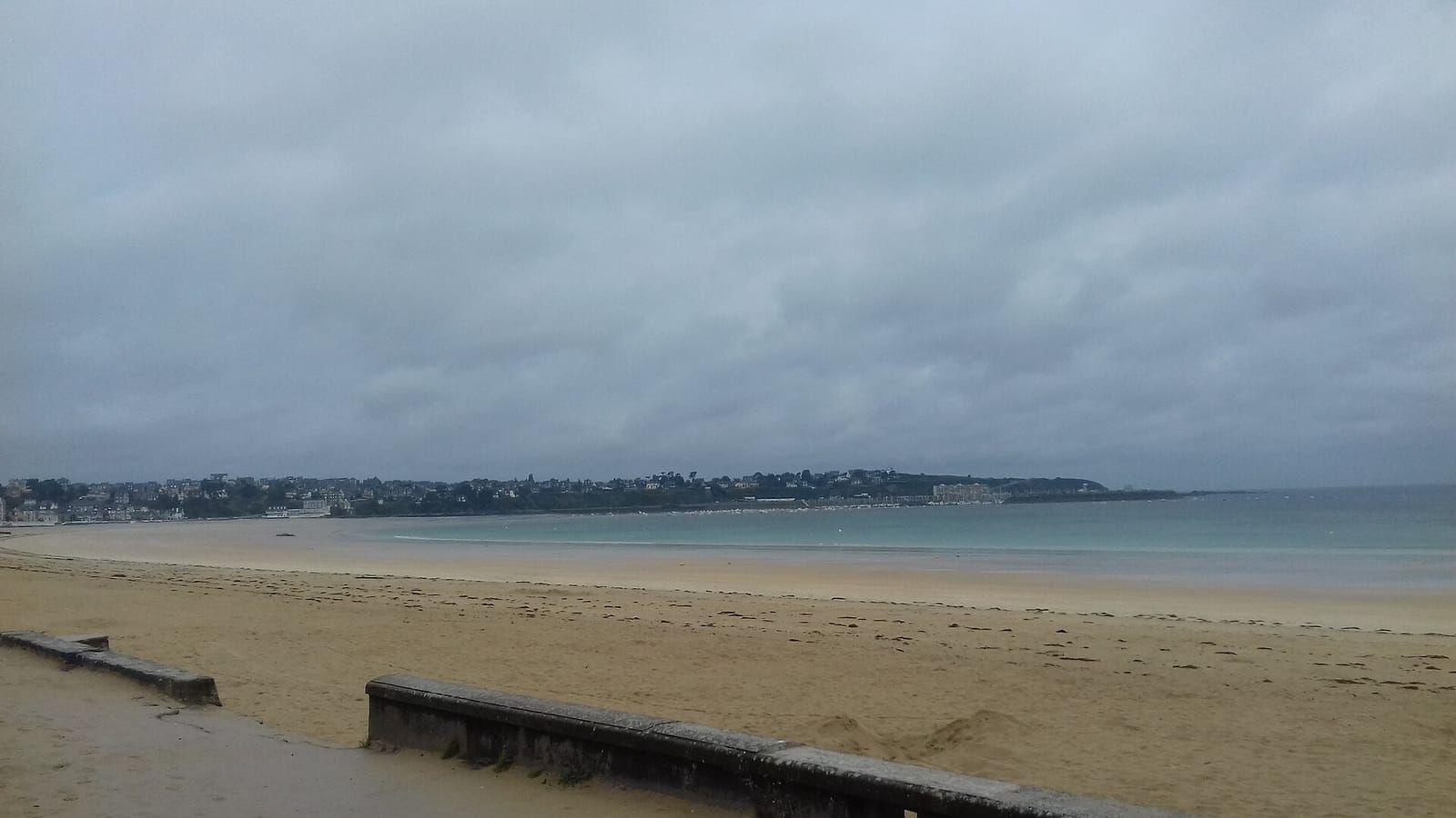Le Lézard