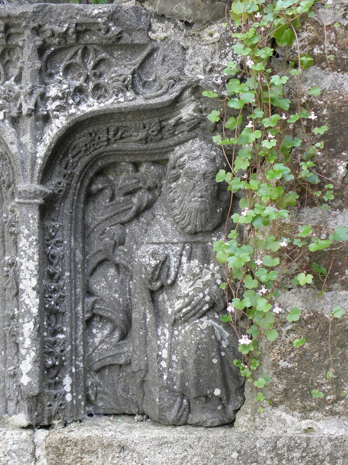 Une Part de Douceur photo 3