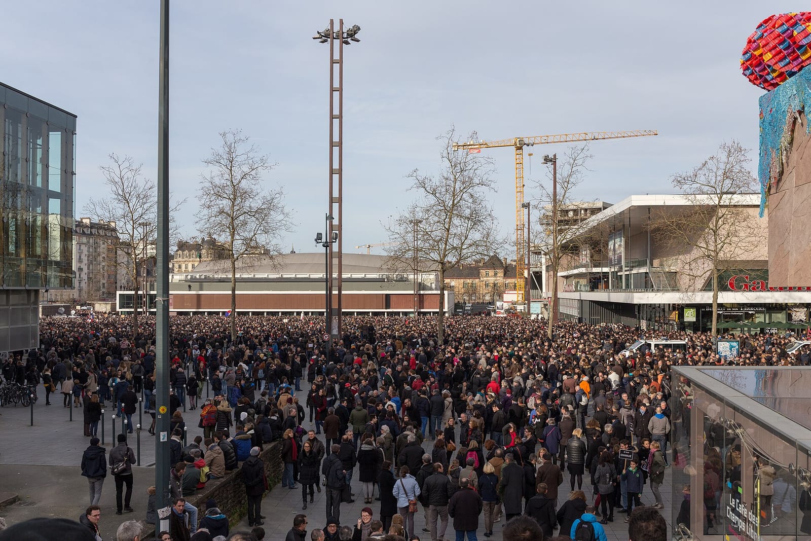 Café des Champs Libres photo 3