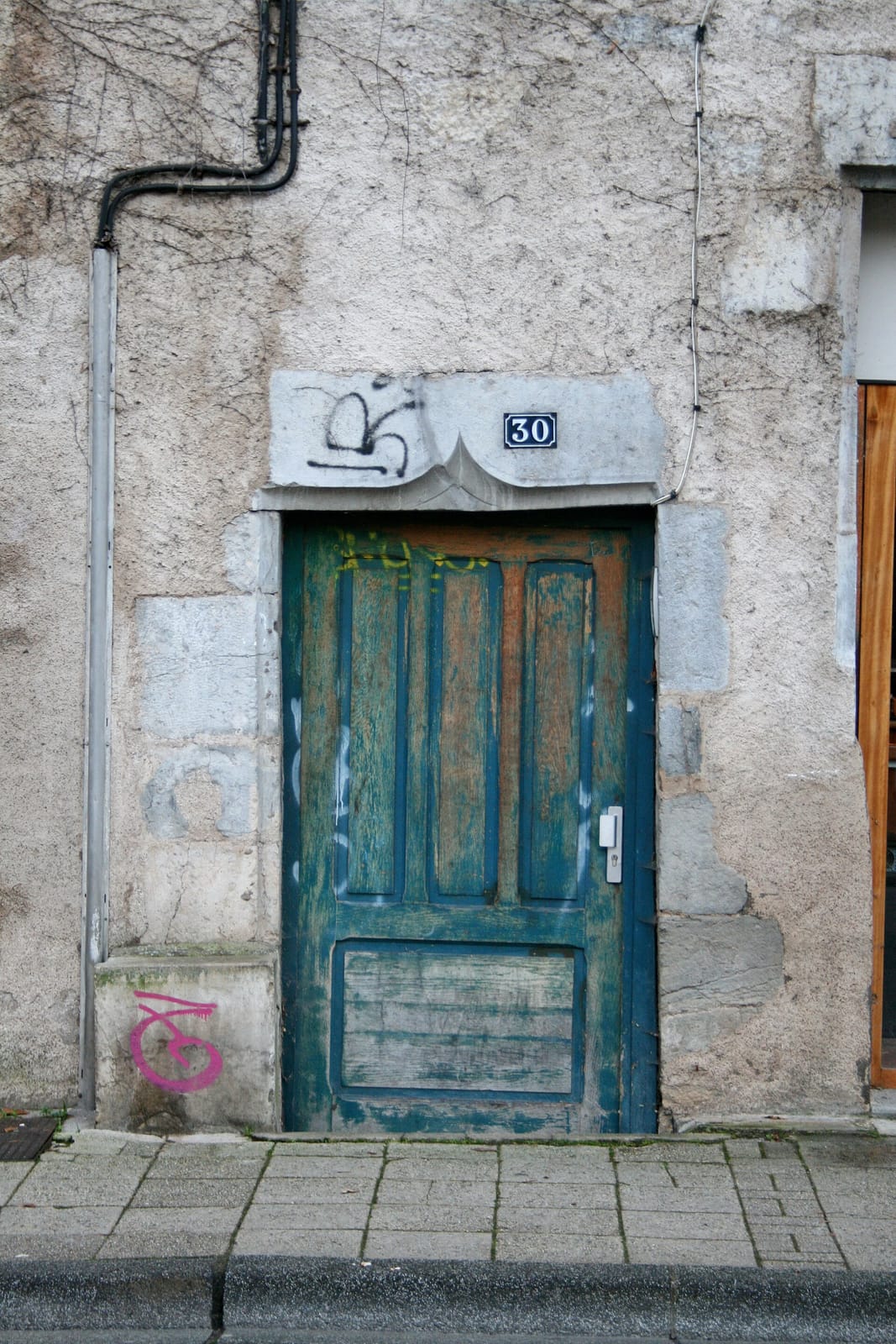 Café Nova photo 4