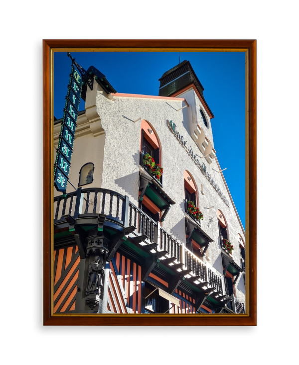 Café des Tribunaux photo 2