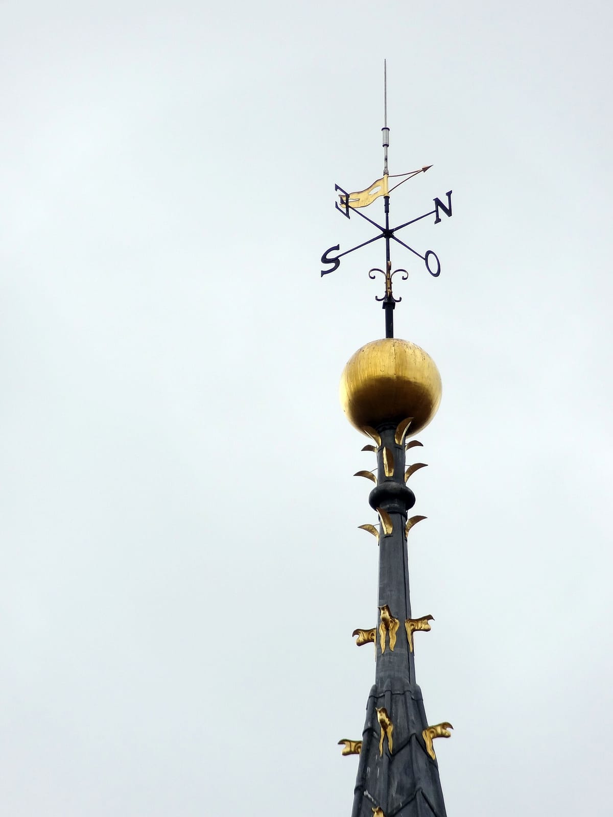 Le Socrate photo 2