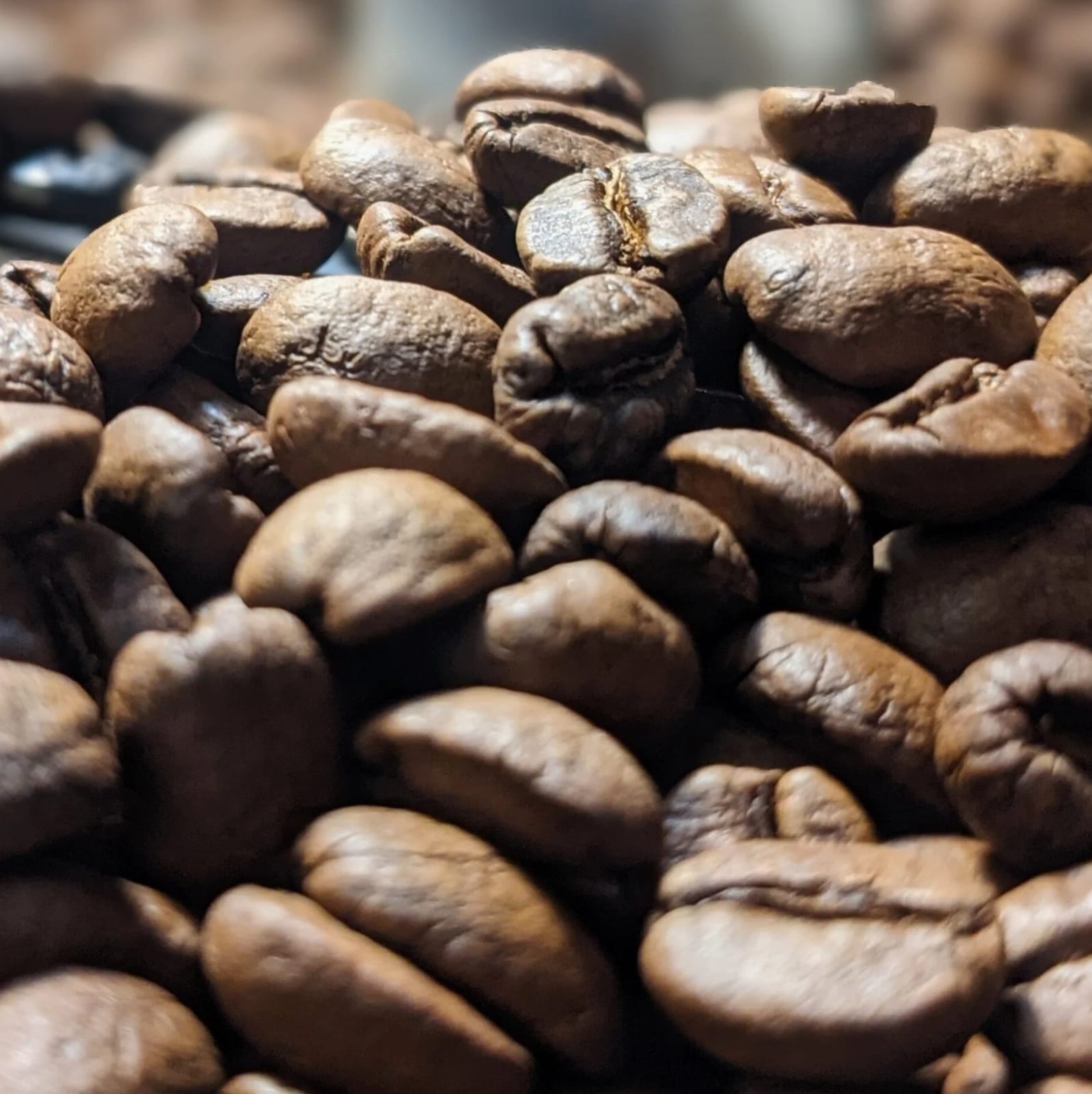 Snakeoil Roasters photo 4