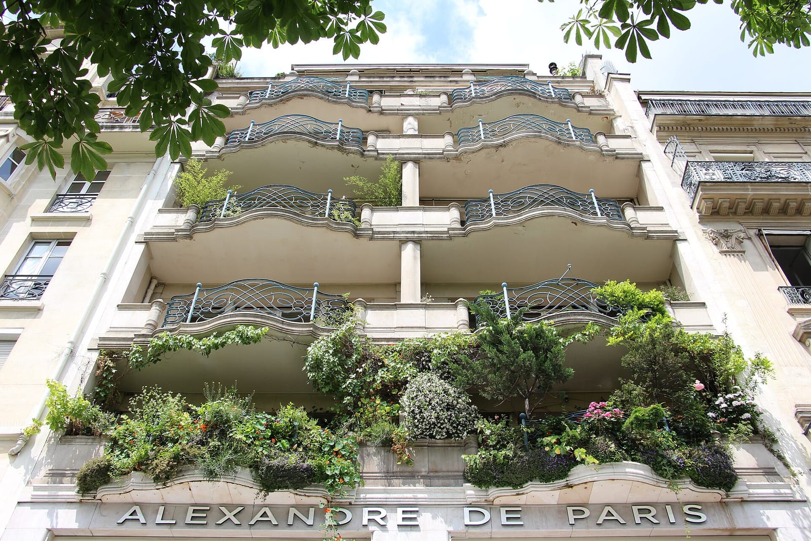 Au XV du Rond-Point photo 3