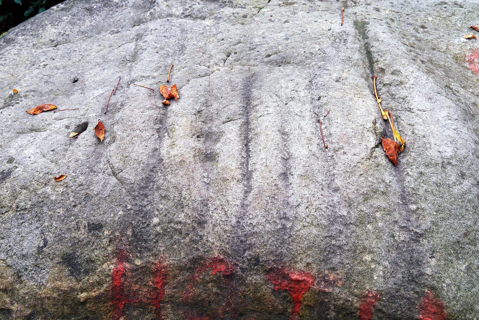 Le Commerce photo 3