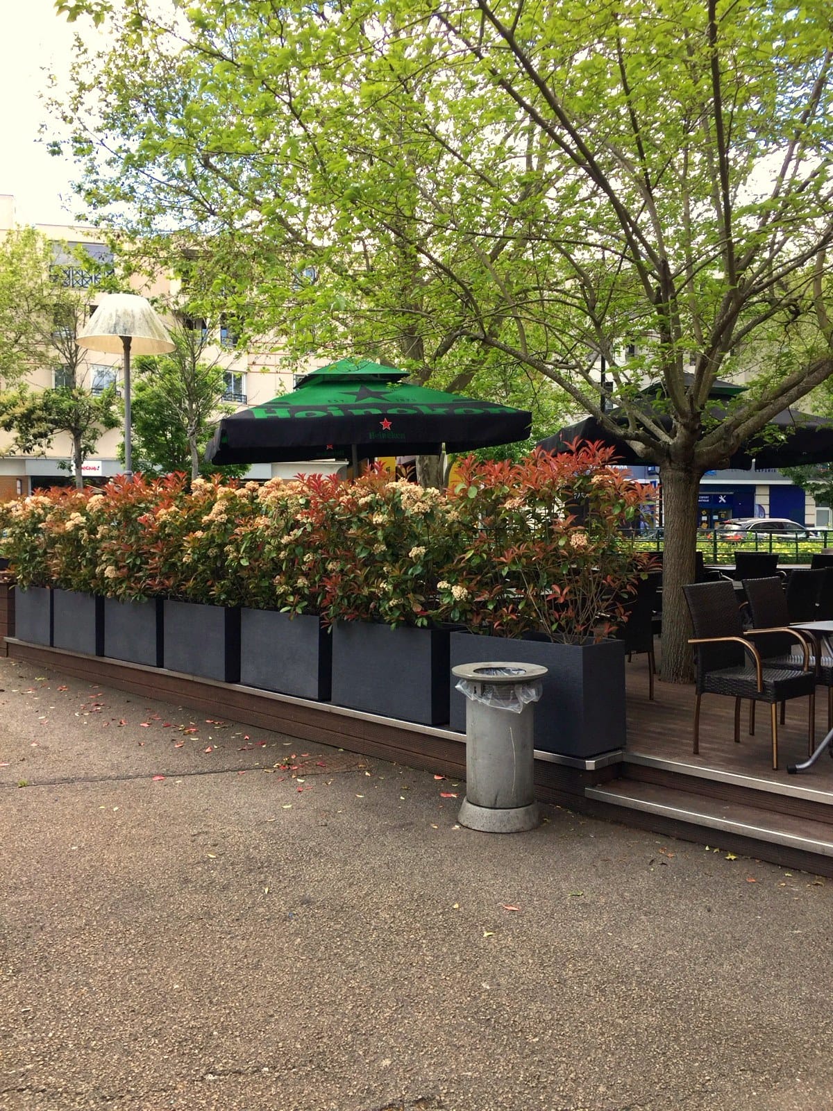 Café du Marché photo 3