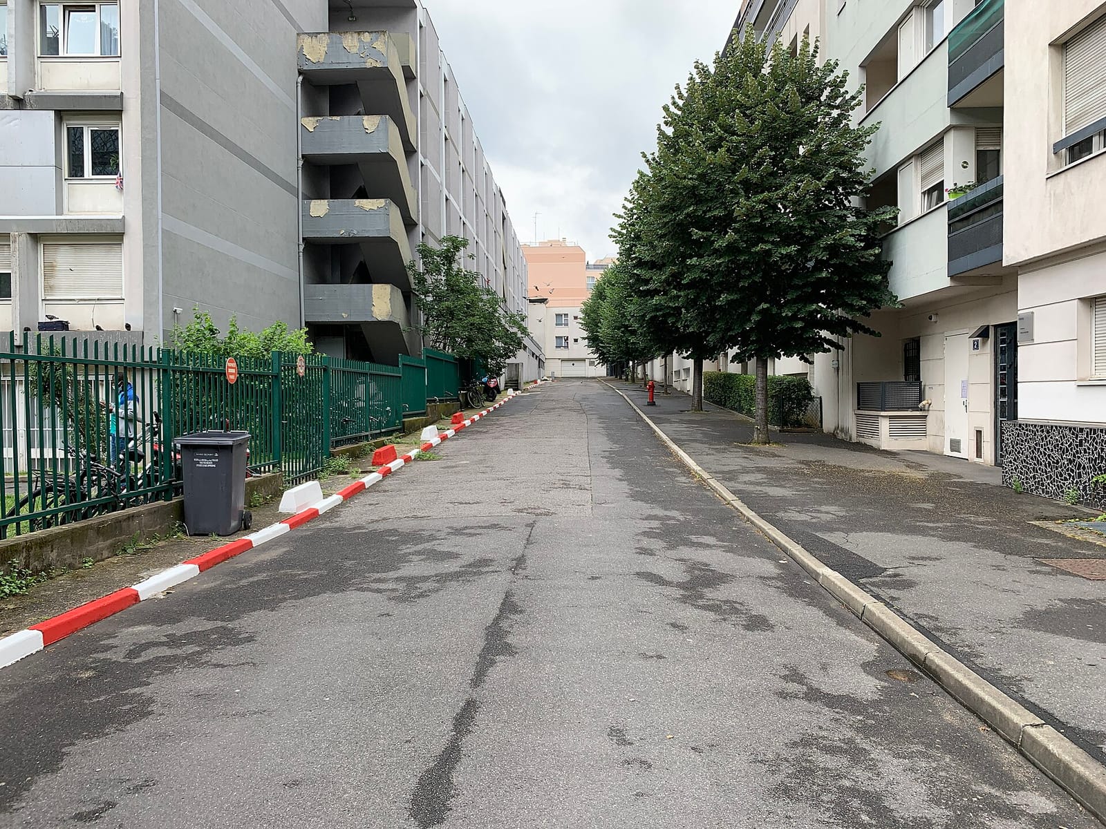 Cajou photo 4