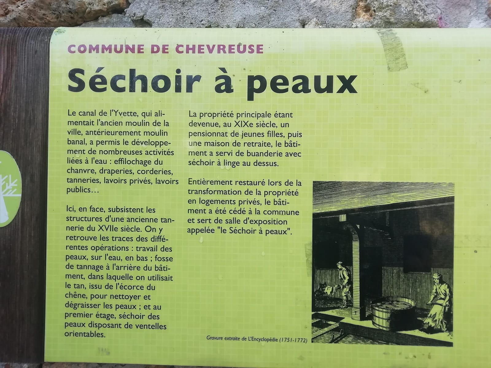 Café de la Mairie photo 4