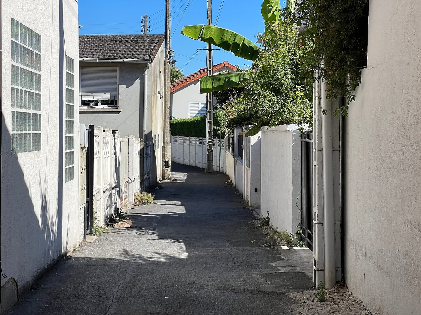 Le Moderne photo 3