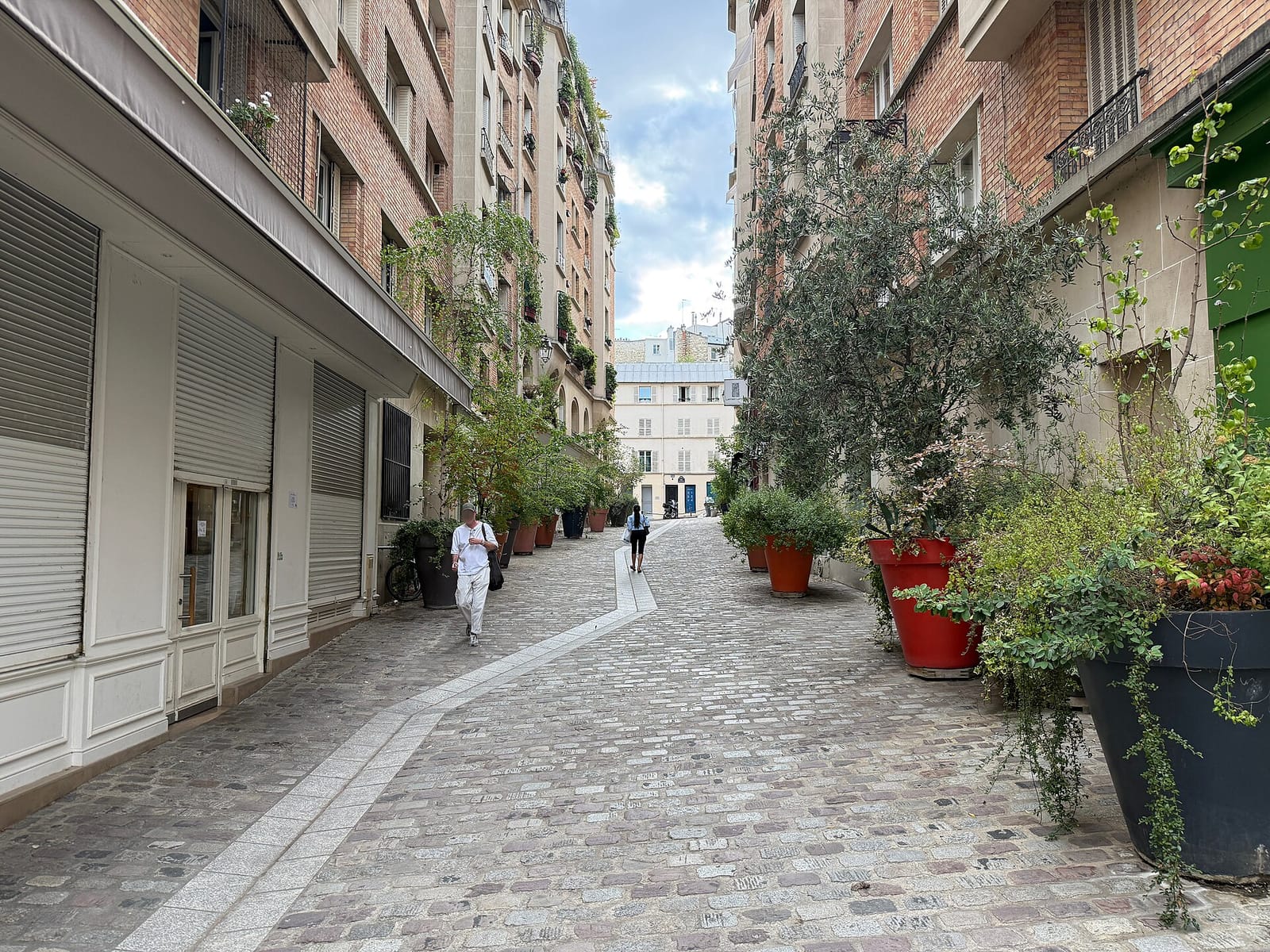 Graines du jour photo 3
