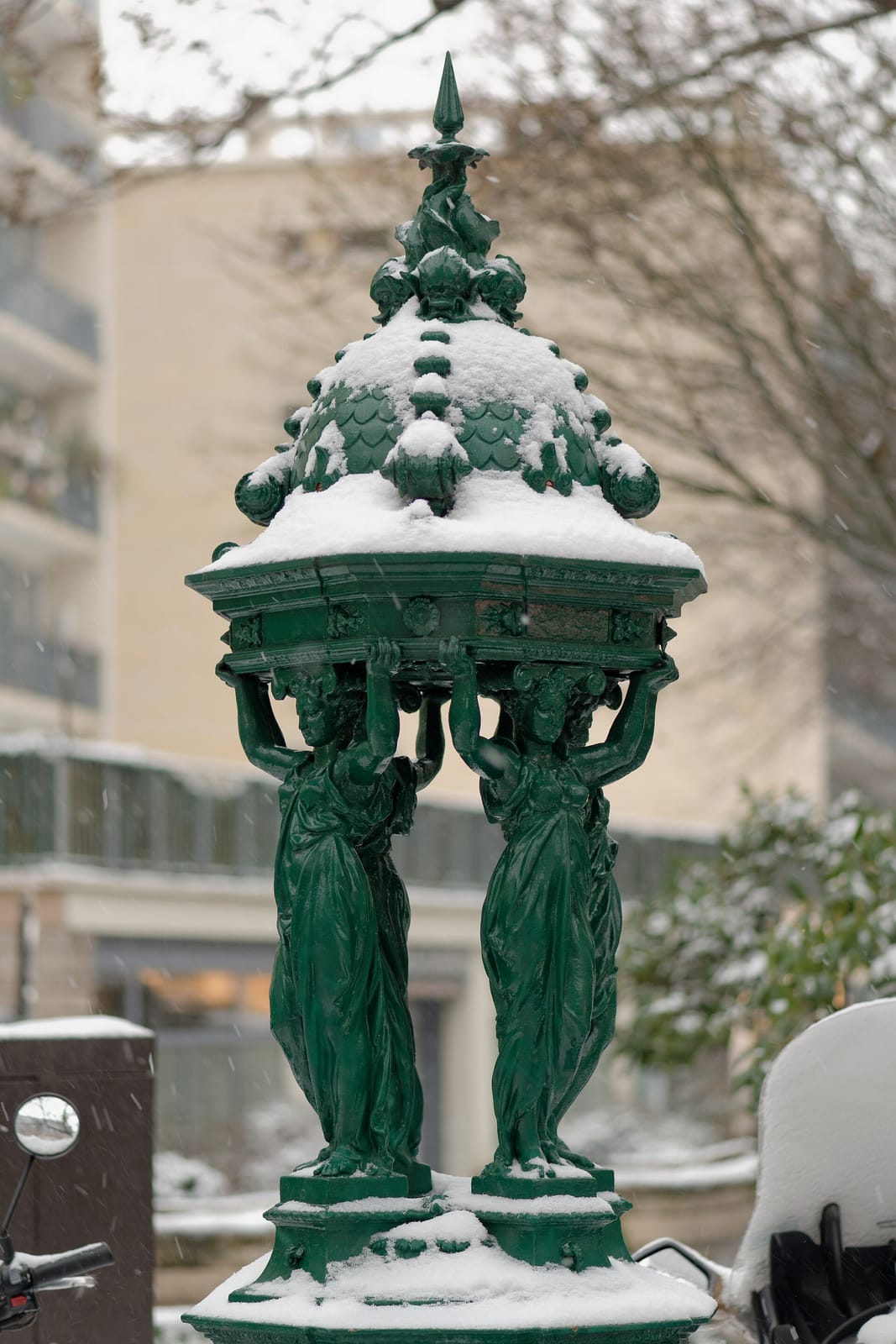 Le Poliveau photo 3