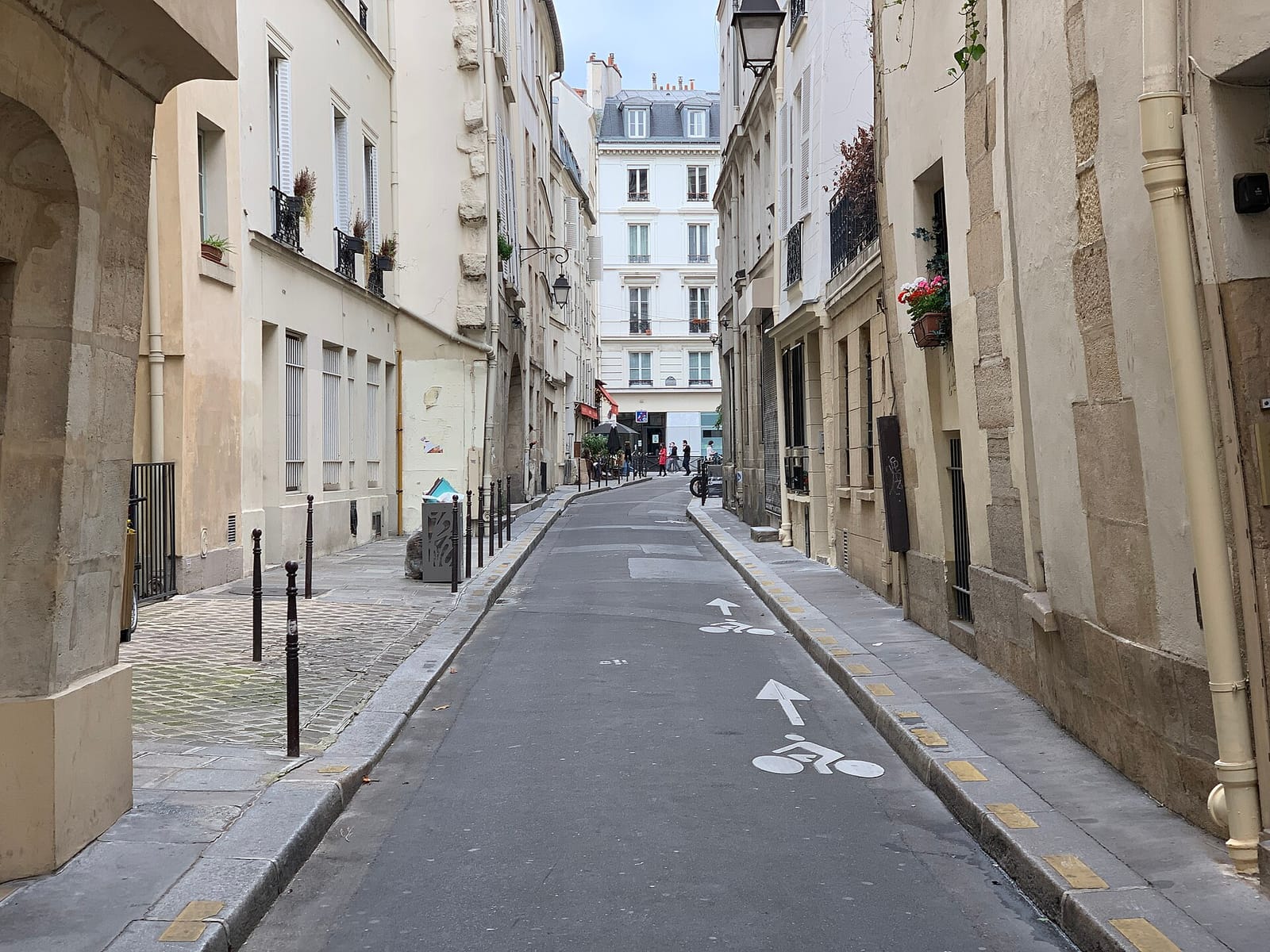 Terres de Café photo 5