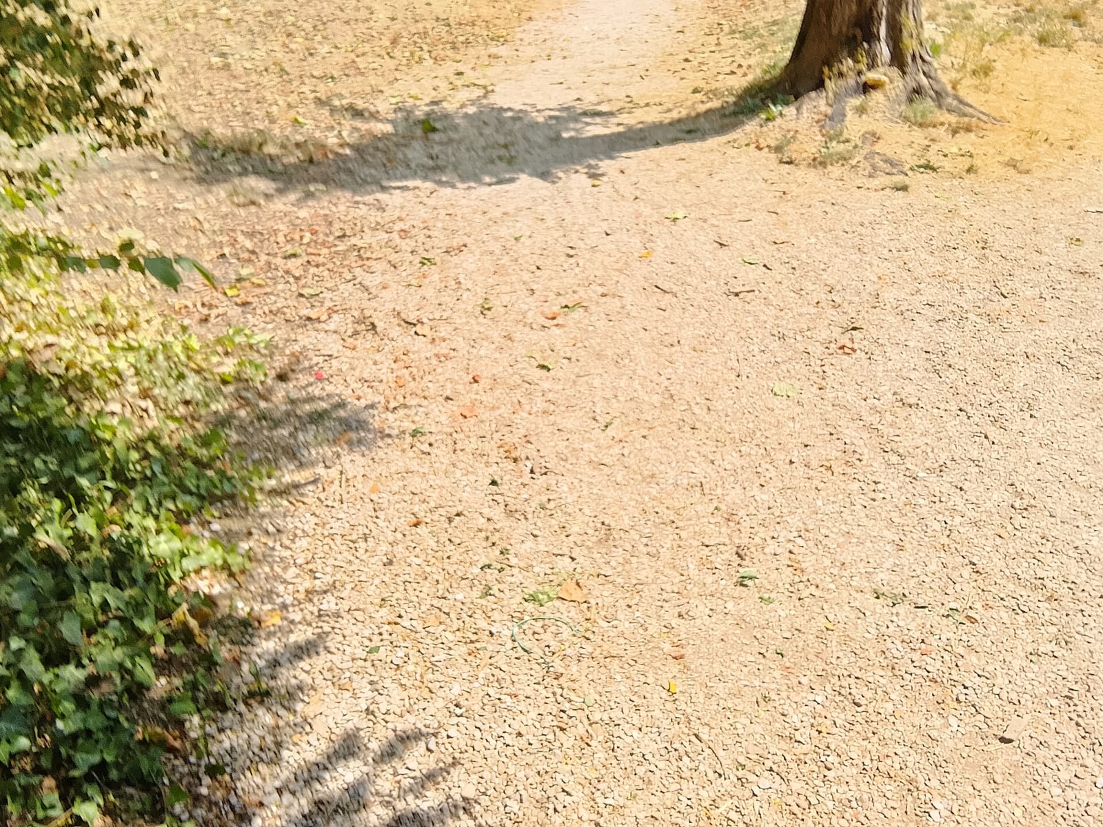Le Jardin Secret photo 2