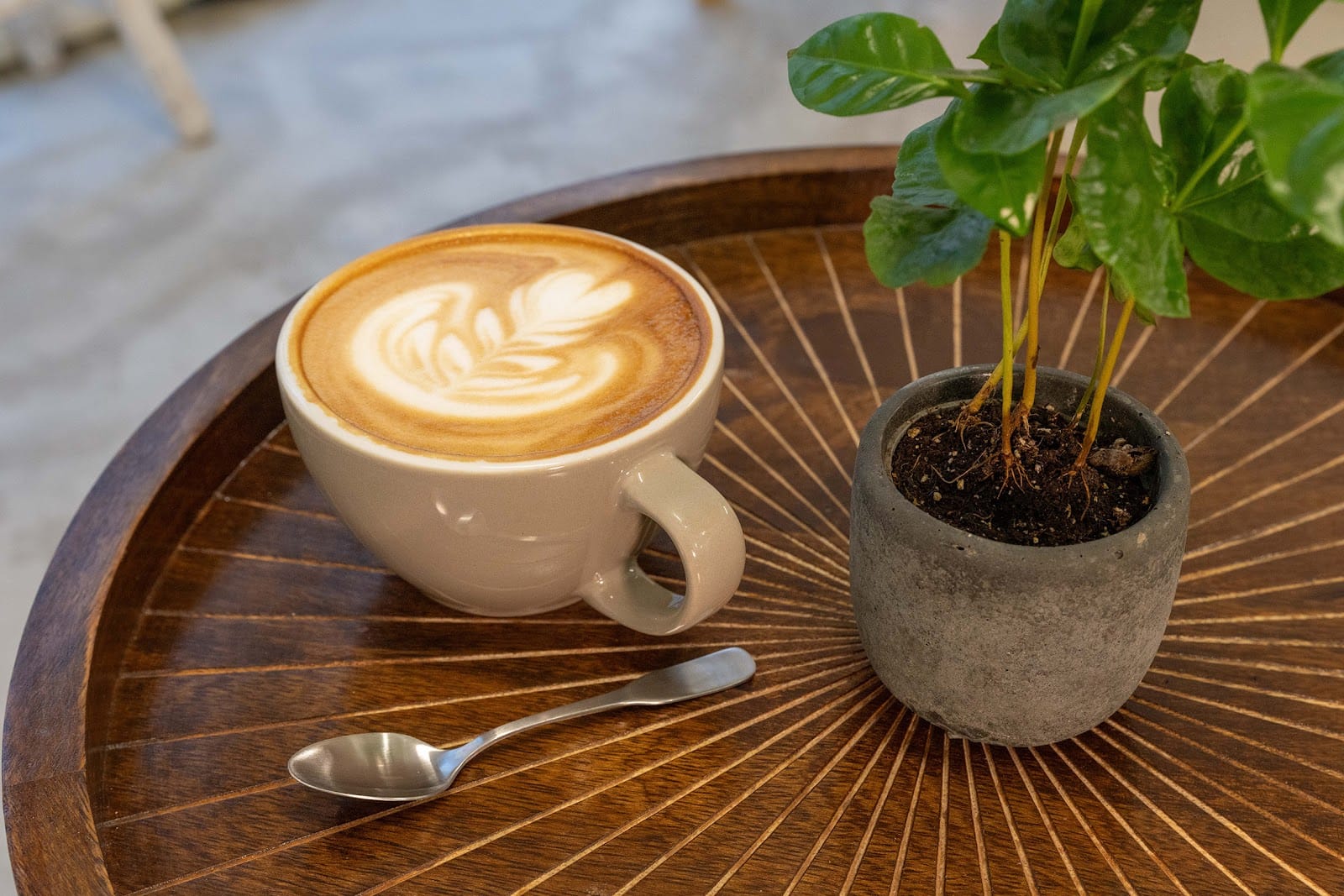 Background Coffee
