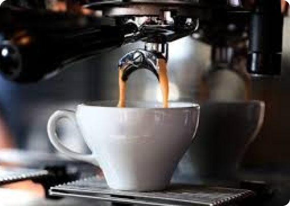 Café Miaou photo 3