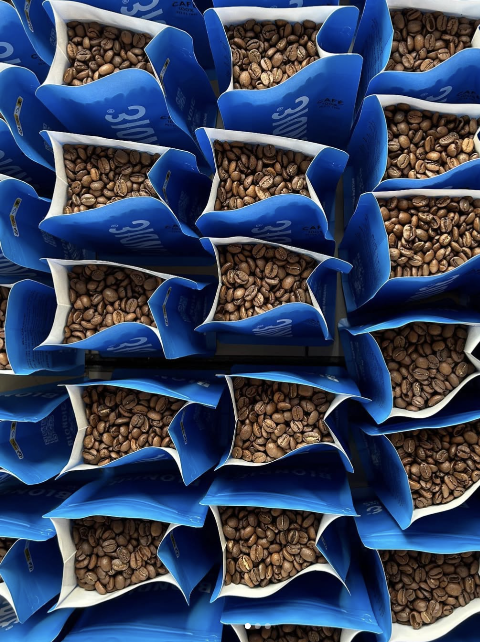 Blondie photo 4