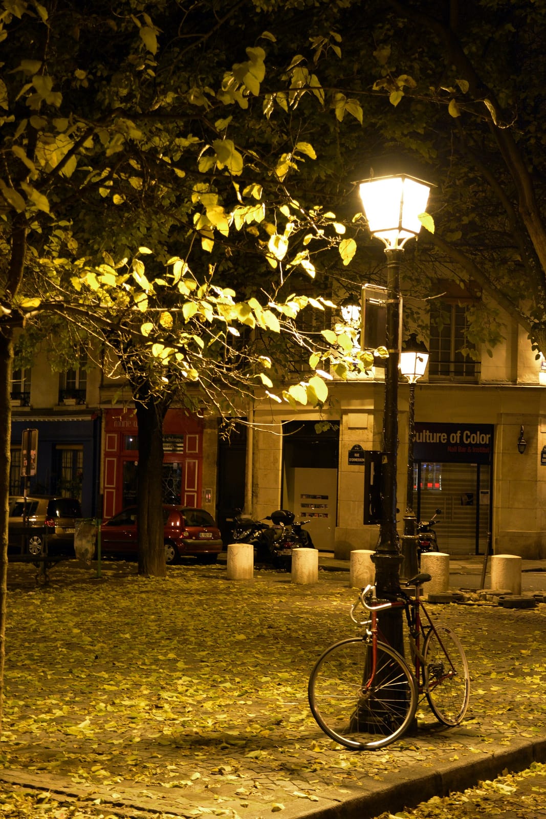 City of Light. photo 5