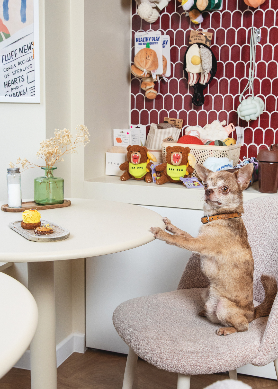 Casa del Doggo photo 2