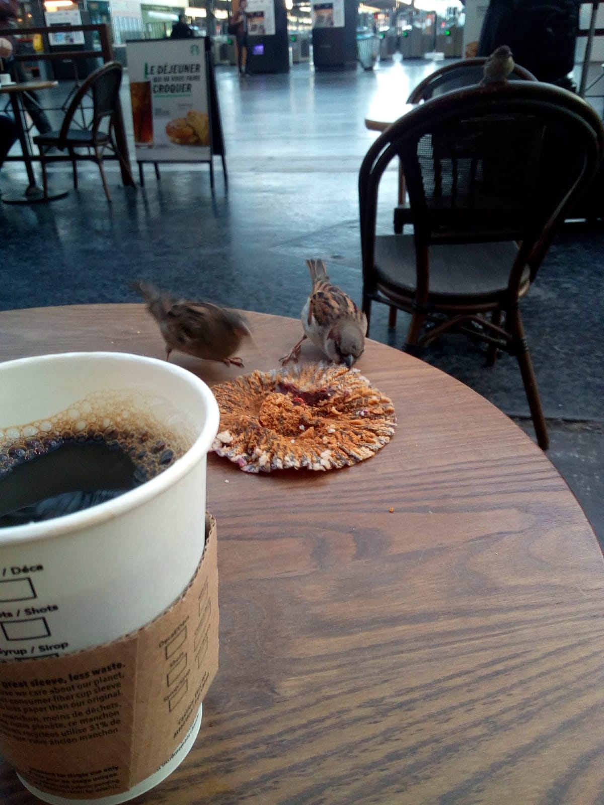 Starbucks coffee