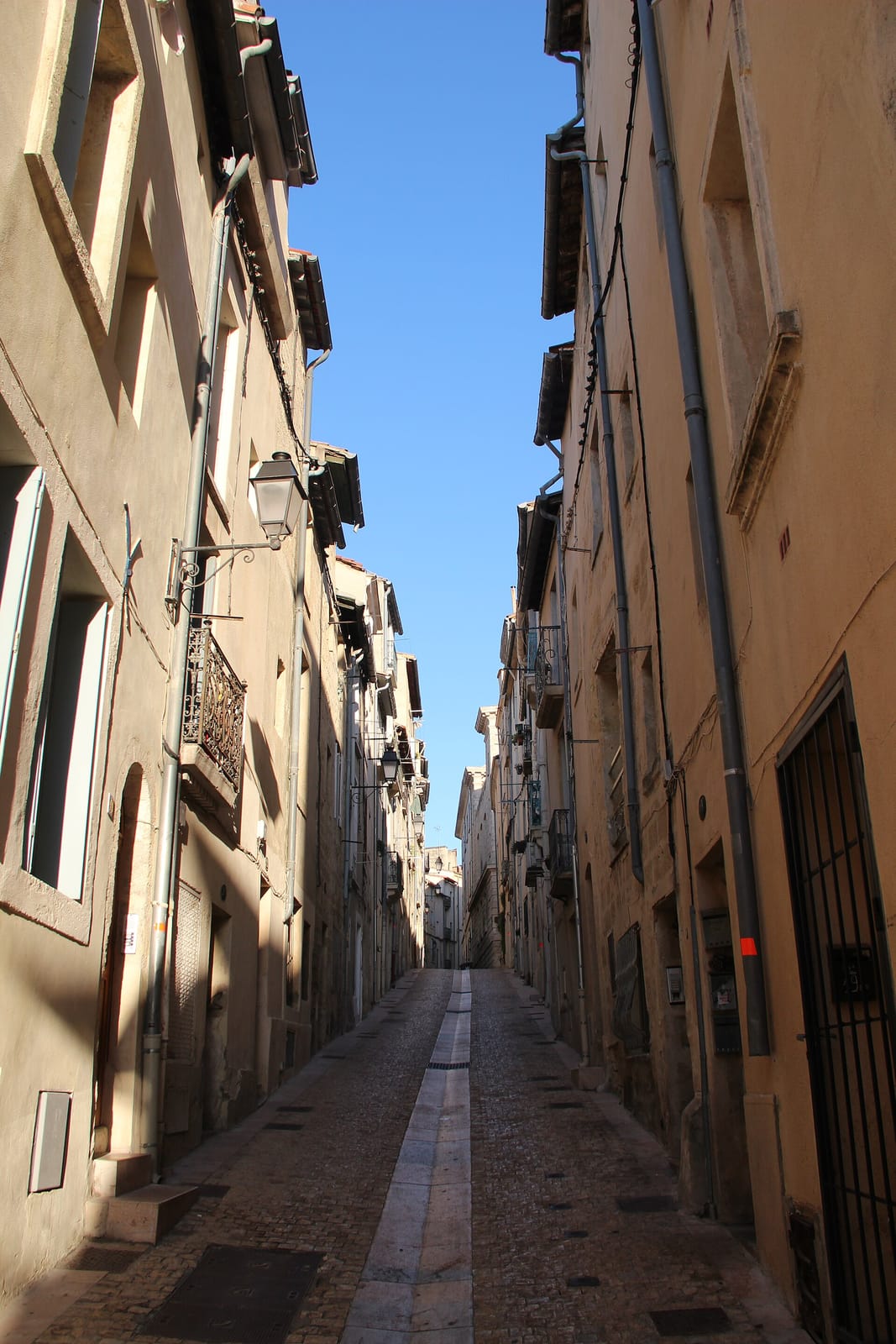 Café Jules photo 2