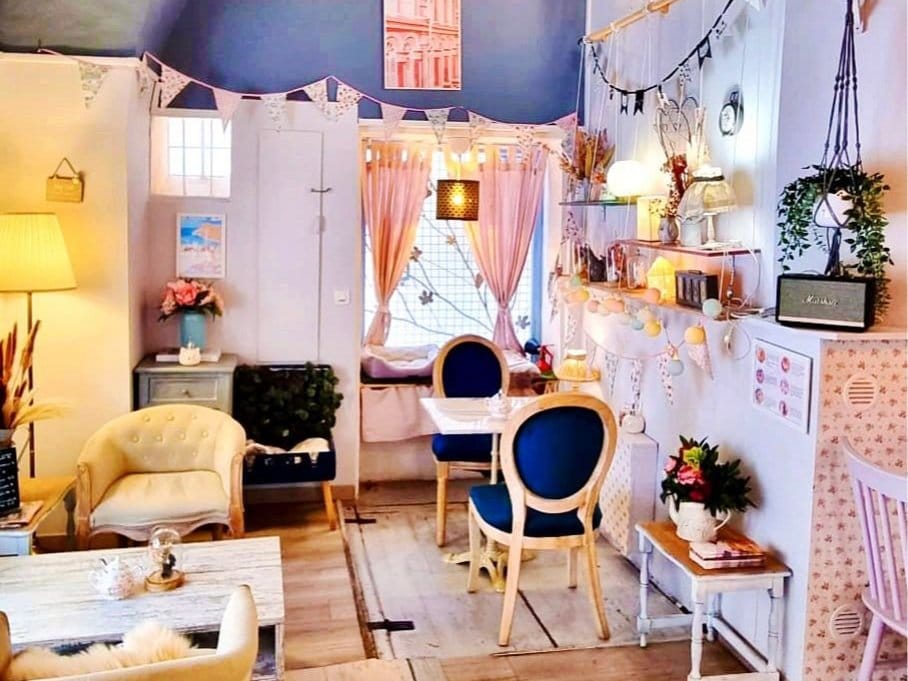 La Maison des Chats photo 3