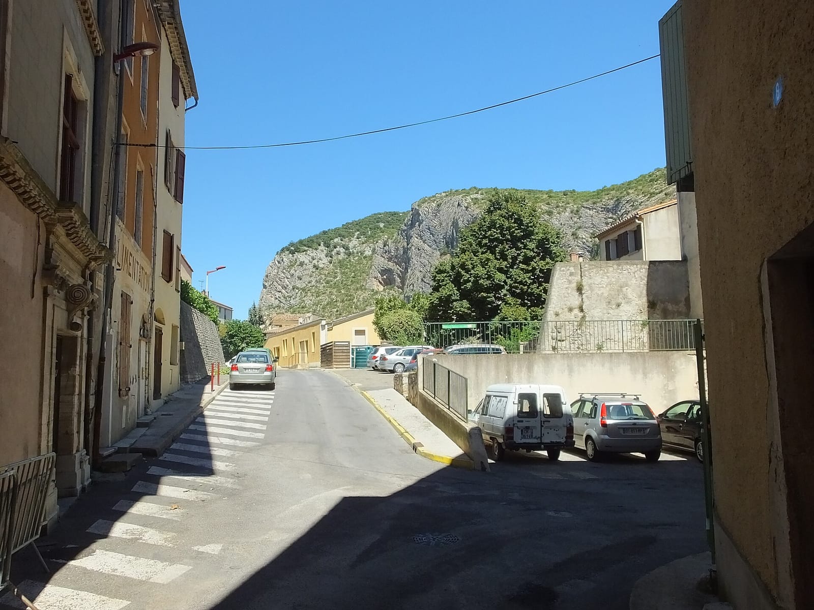 Tea Potes photo 3