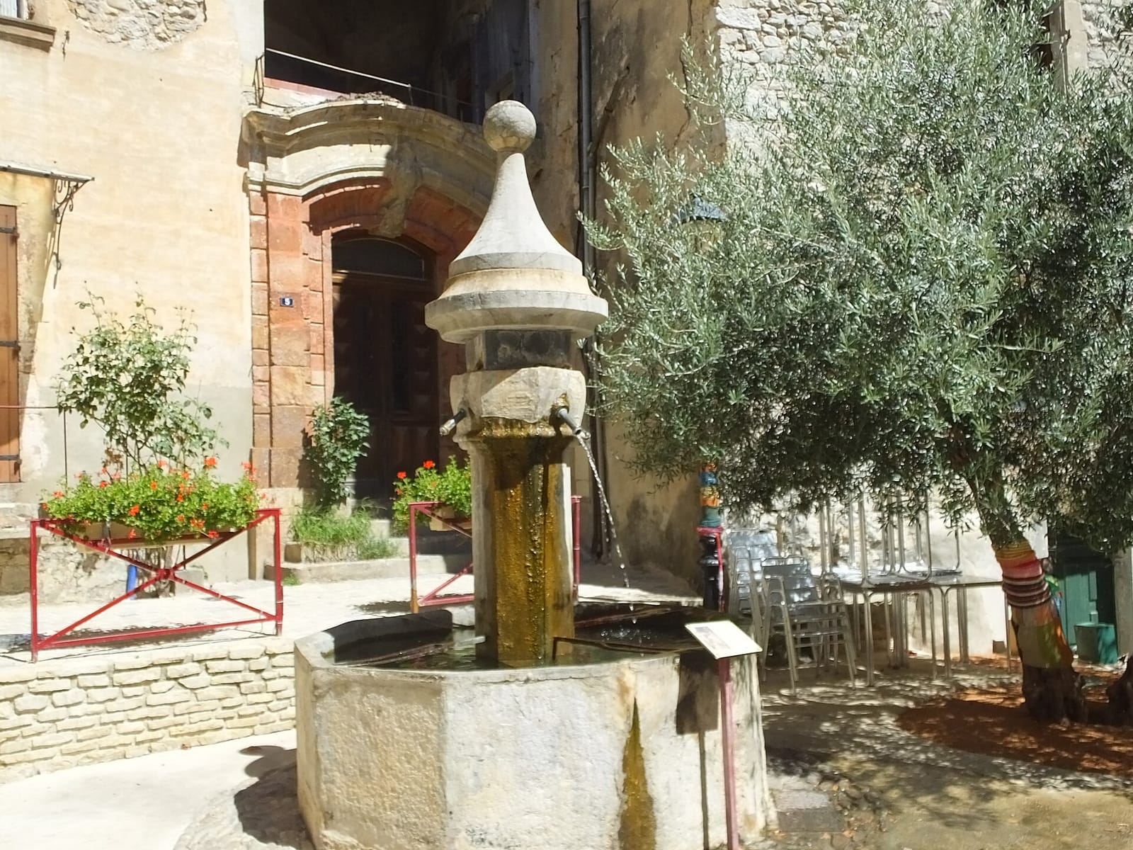 Tea Potes photo 2