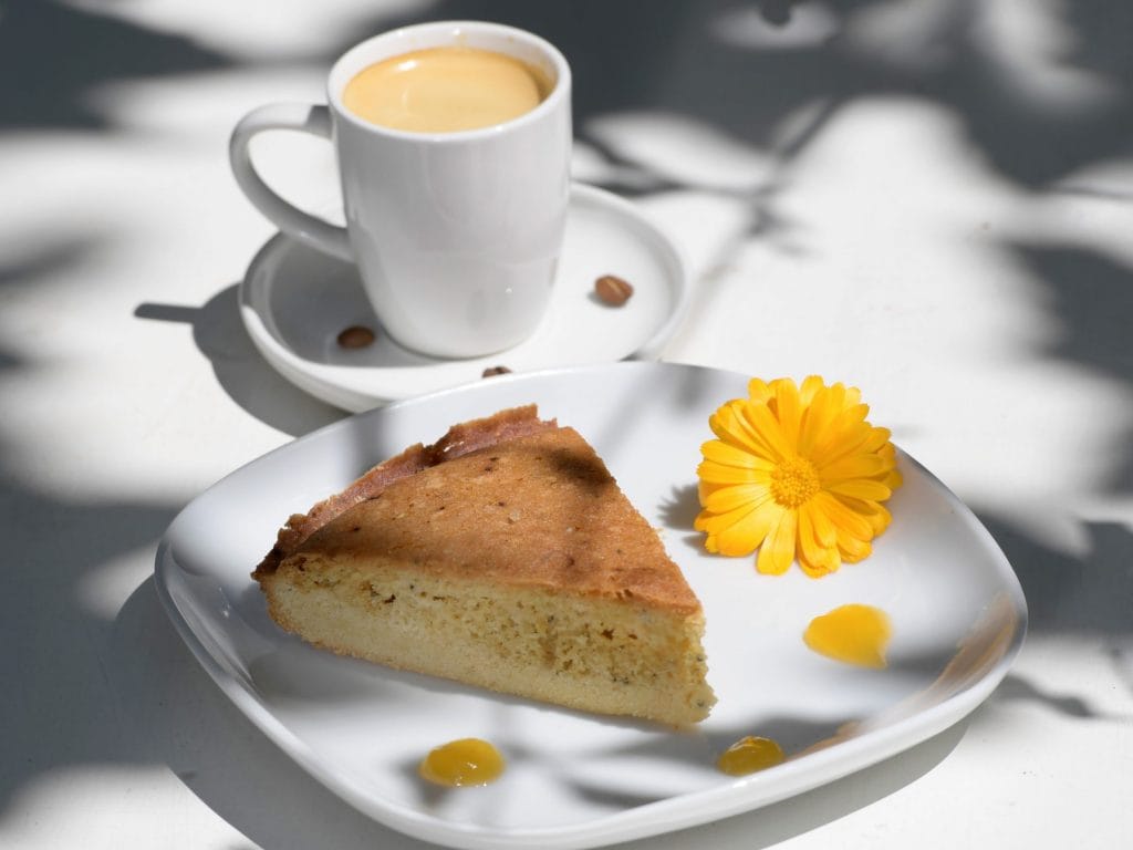 Café culturel "Du côté du Peyrou" photo 6
