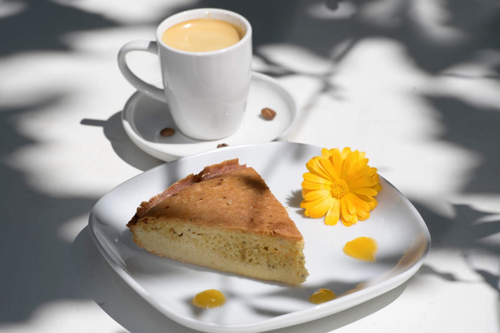 Café culturel "Du côté du Peyrou" photo 5