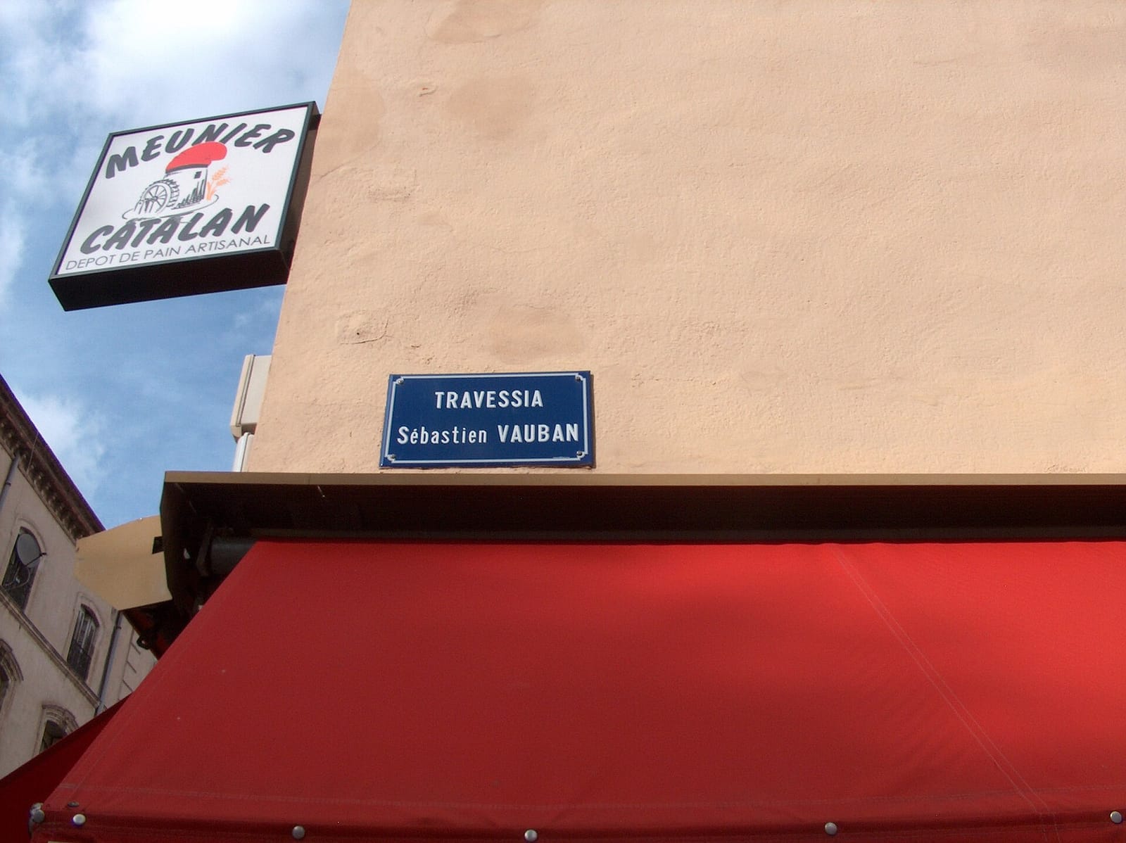 Petite pousse photo 5