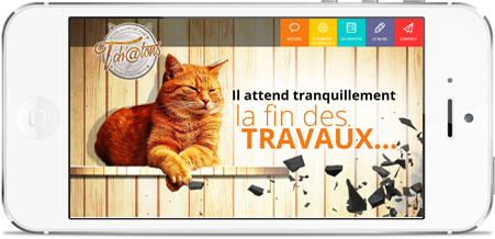Le Tchatons photo 3