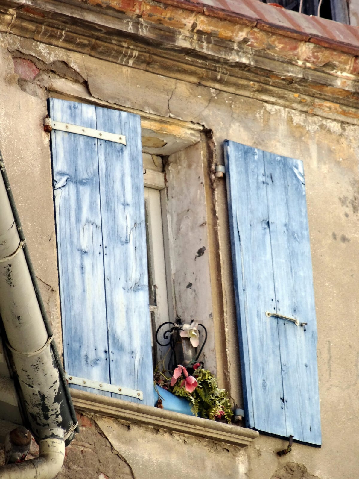 Paocco