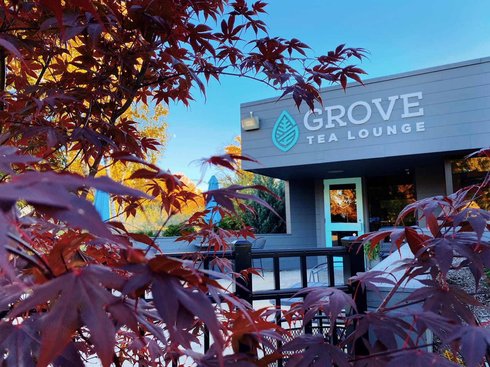Grove Tea Louge