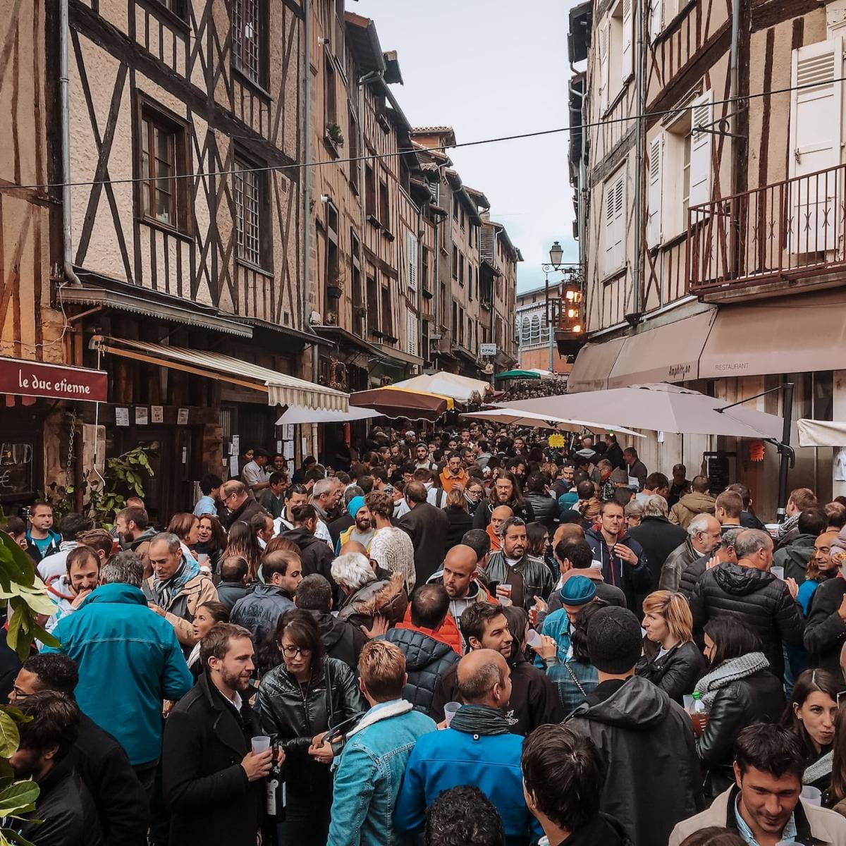 Le Miaulétou photo 8