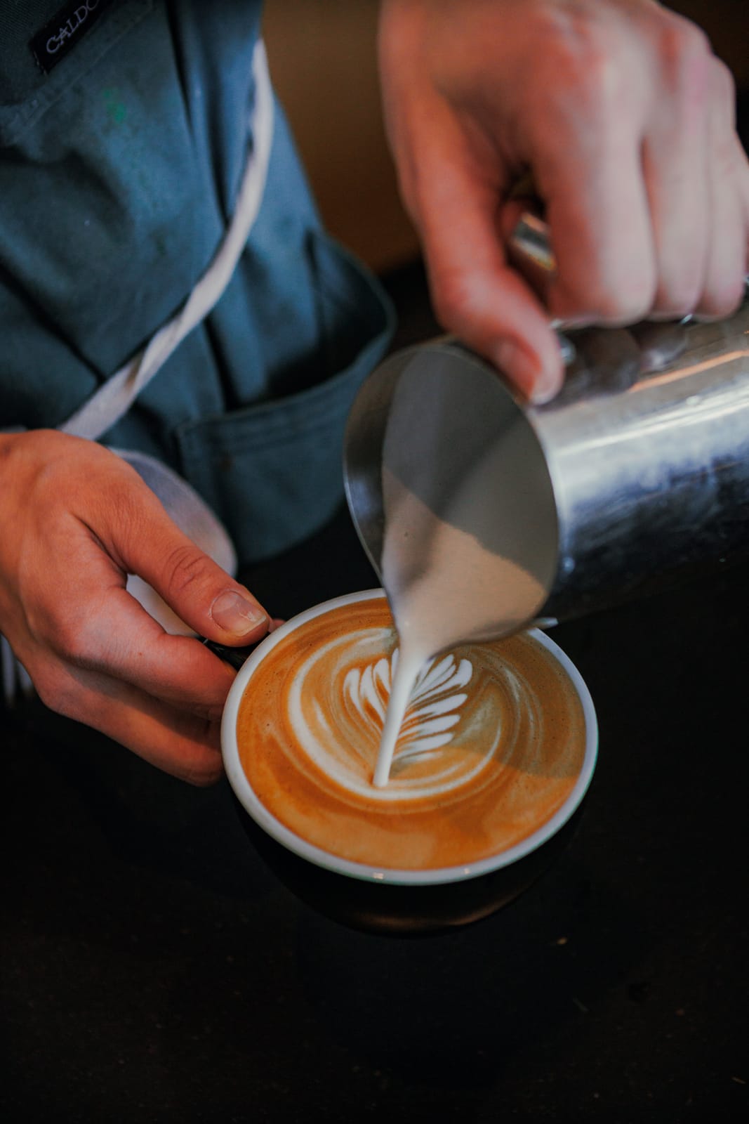 Wildflyer Coffee photo 6