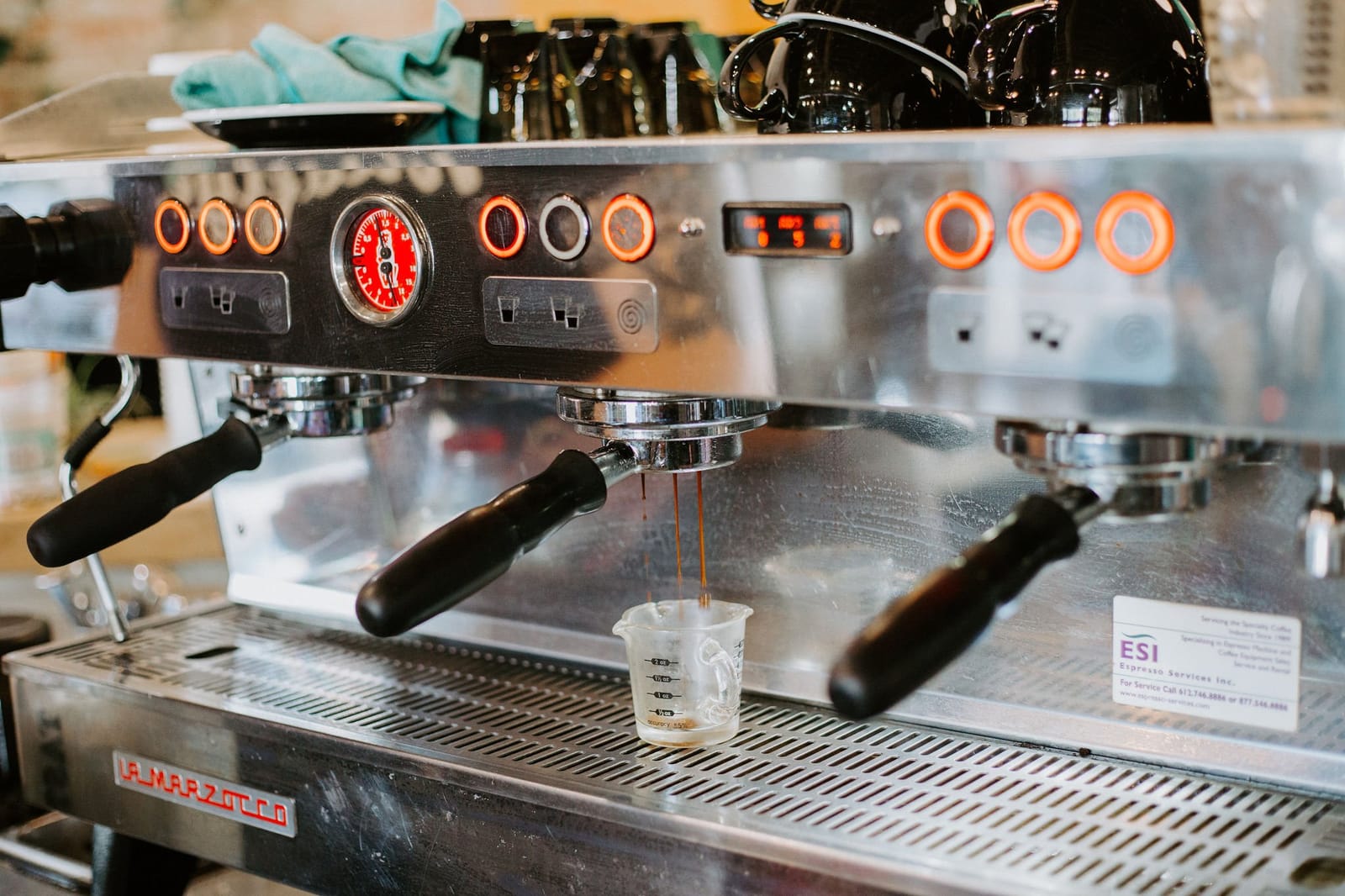 Wildflyer Coffee photo 2