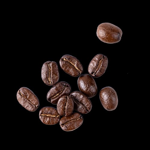 Du grain à la Tasse photo 4