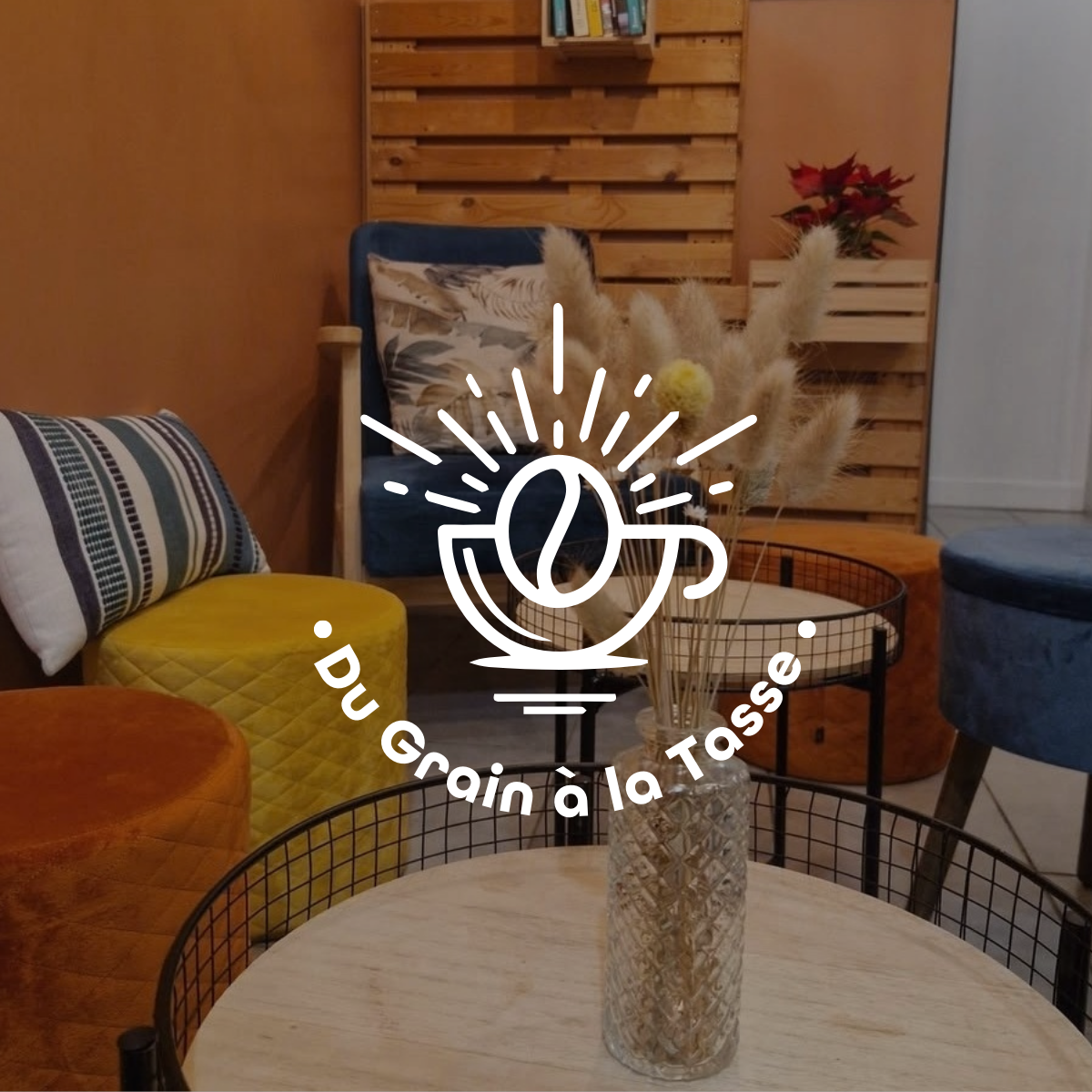 Du grain à la Tasse