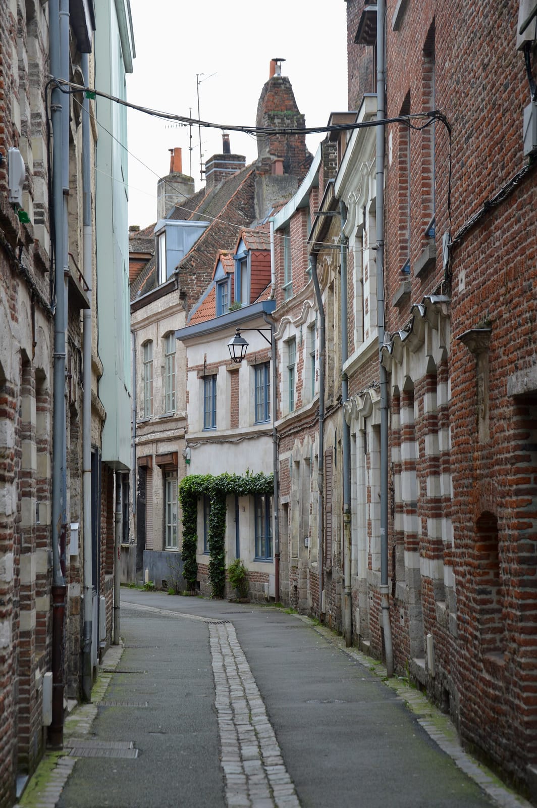 Le Waf photo 7