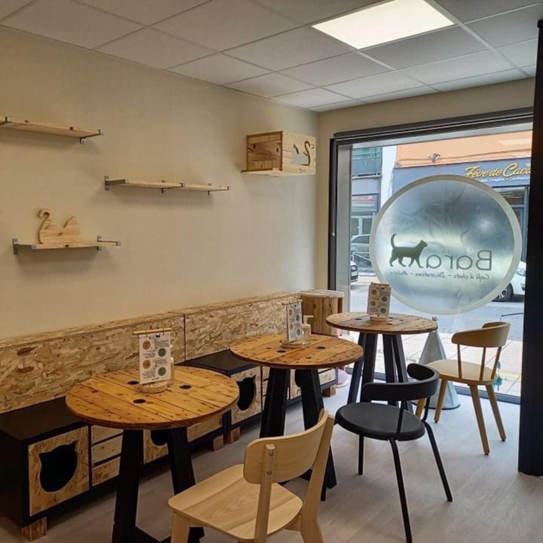 Barachat photo 7