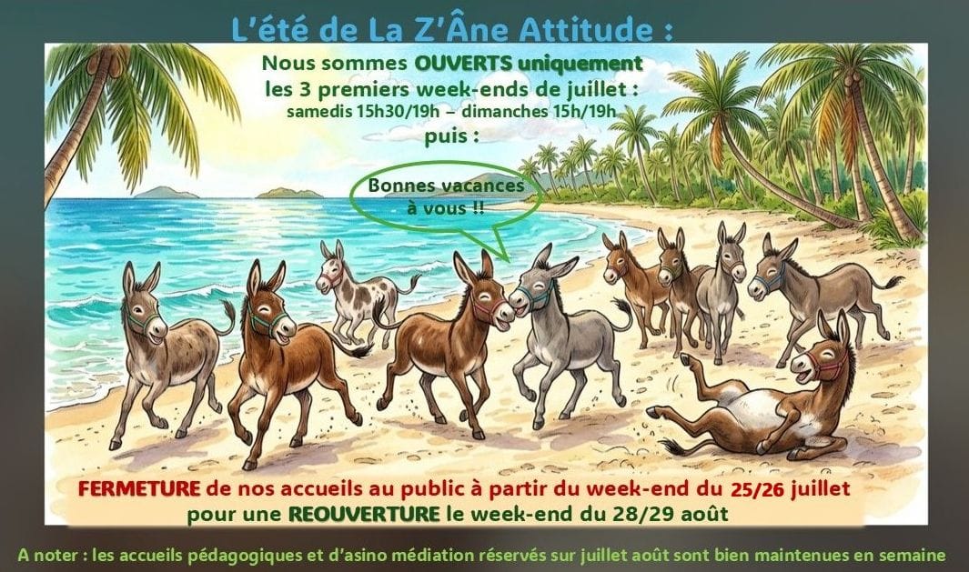 La Z'Âne Attitude photo 2