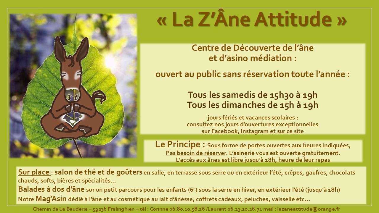 La Z'Âne Attitude photo 3