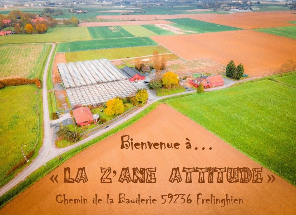La Z'Âne Attitude photo 5